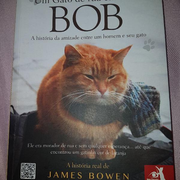 livro um gato de rua chamado Bob