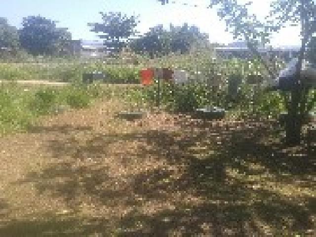 Vendo um terreno c / 14 sapatas urgente
