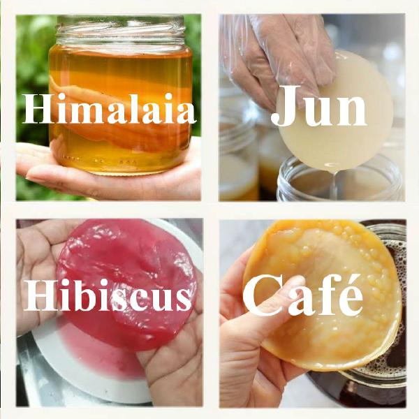 Kombo com 4 scoby: Jun, Himalaia, café e Hibiscus