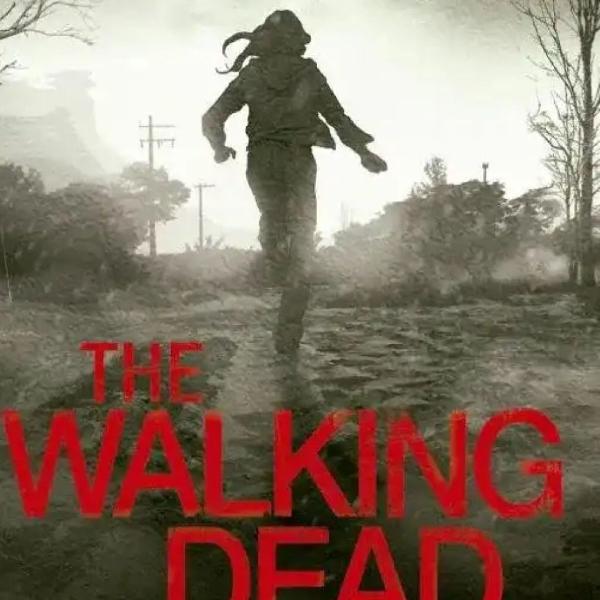 Livro The Walking Dead O caminho para Woodbury