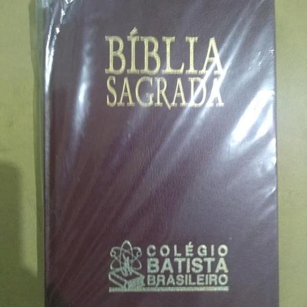 biblia sagrada - colégio batista brasileiro - ntlh