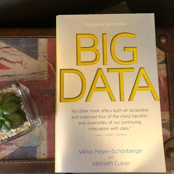 book big data