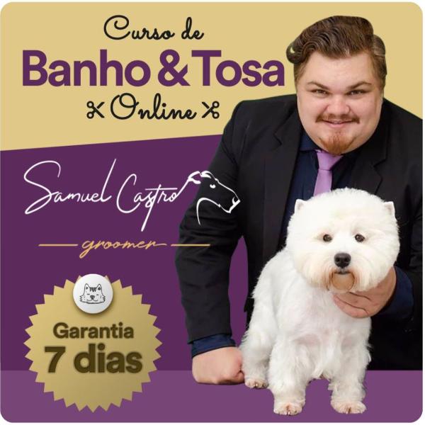 curso de banho e tosa