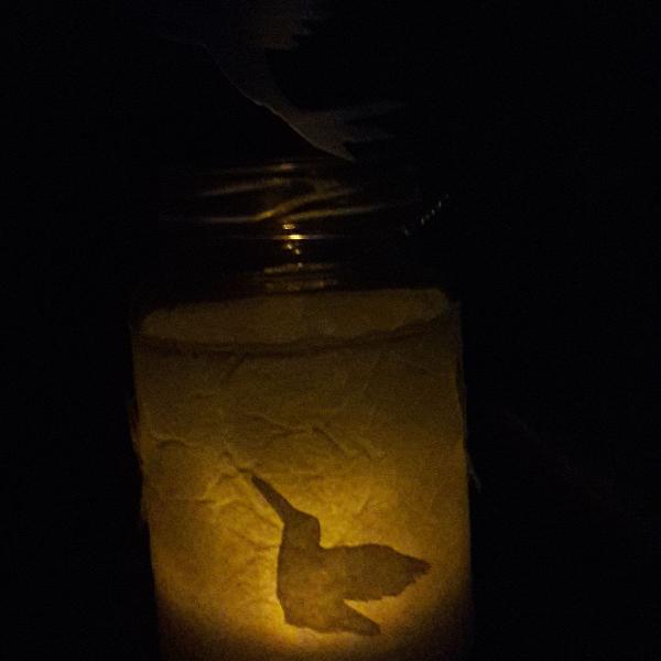 lanterna de passarinhos