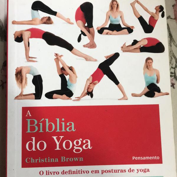livro ilustrado a bíblia do yoga