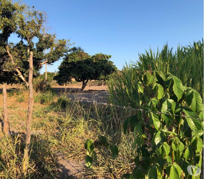 Terreno 7 hectares com clima de serra- Viçosa do Ceará