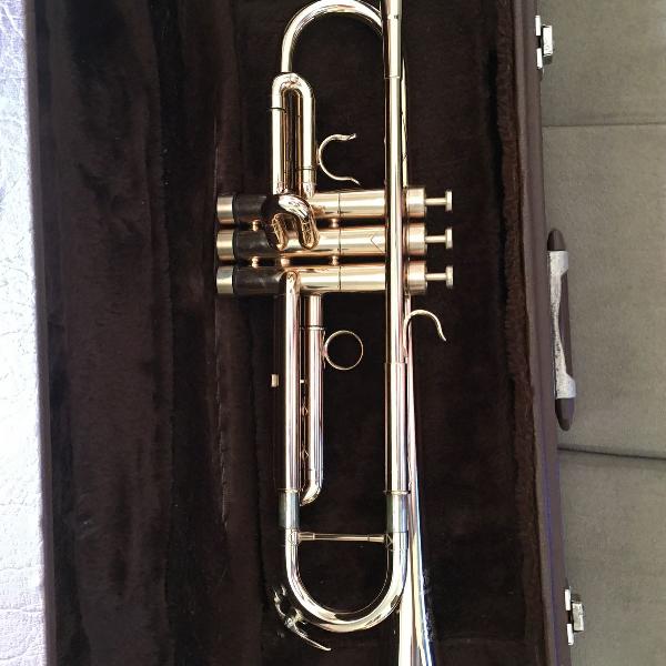 trompete profissional