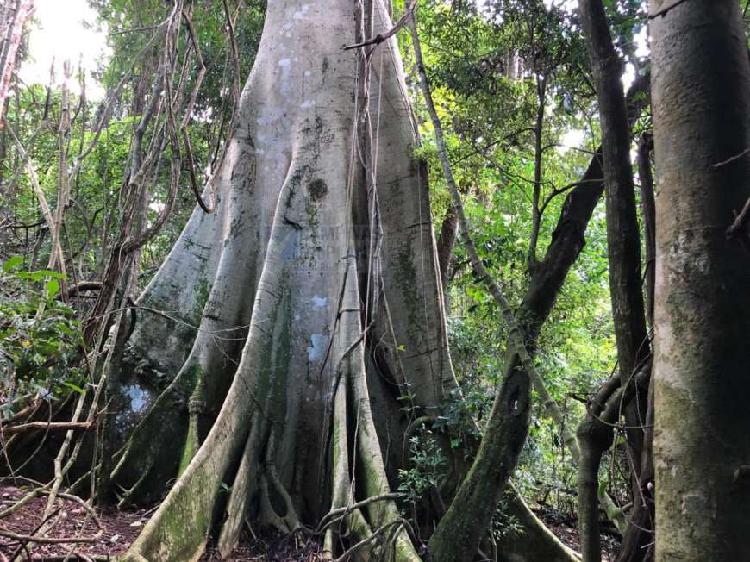 Chácara para Venda em Sousas Campinas-SP - 108