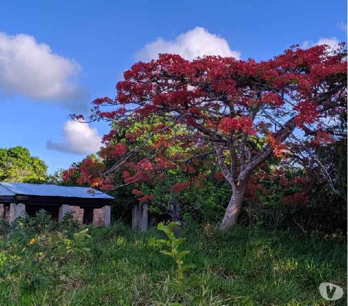 Sítio lindo lugar de sossego