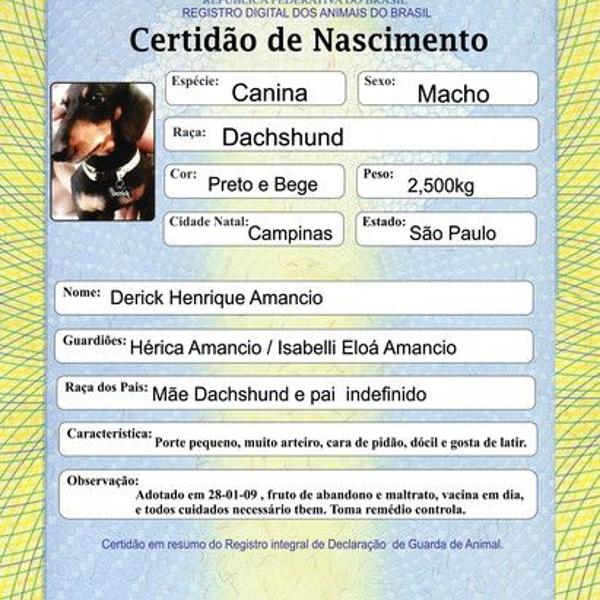 certidão de nascimento para pets (arquivo digital)