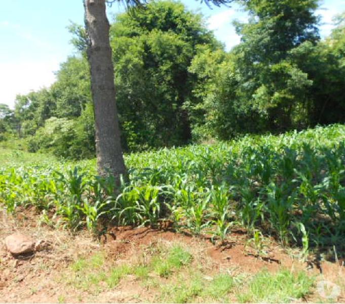 Terreno a venda Em Viadutos RS