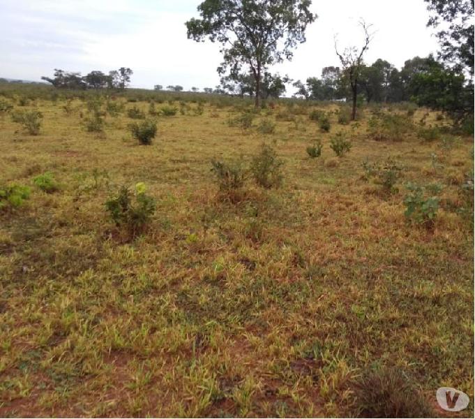 EXCELENTE FAZENDA COM 489 ALQUEIRES REGIÃO DE TRÊS LAGOAS