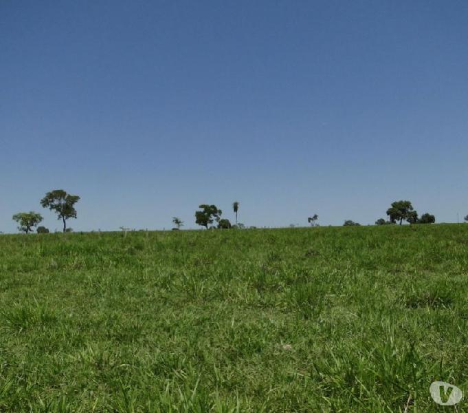 OPORTUNIDADE DE FAZENDA COM 2.500 HECTARES EM AQUIDAUANA MS