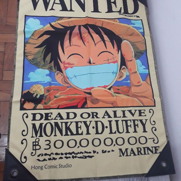 Pôster One Piece