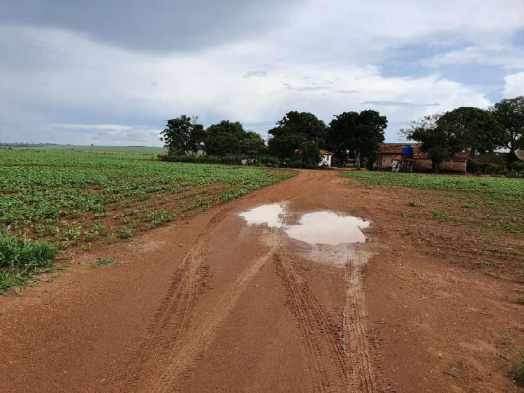 Fazenda em lavoura (distrito de almeida Campos )