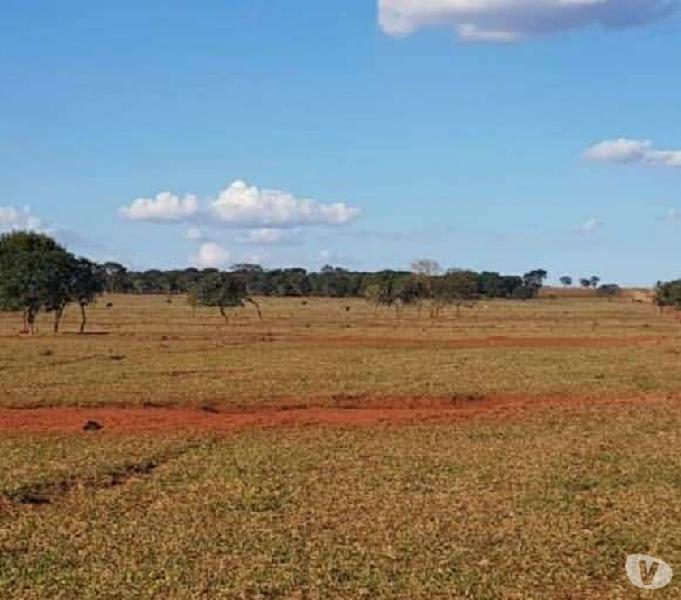 OPORTUNIDADE DE FAZENDA COM 500 ALQUEIRES EM BATAGUASSU MS