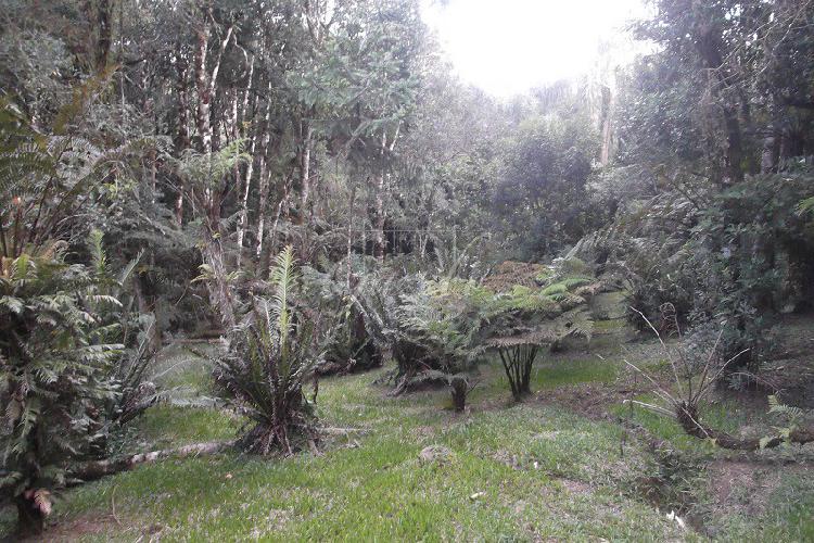 Venda CASA PIRAQUARA PR Brasil