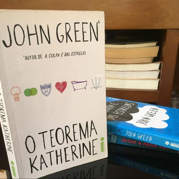 livro o teorema katherine