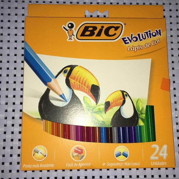 24 lápis de cor bic