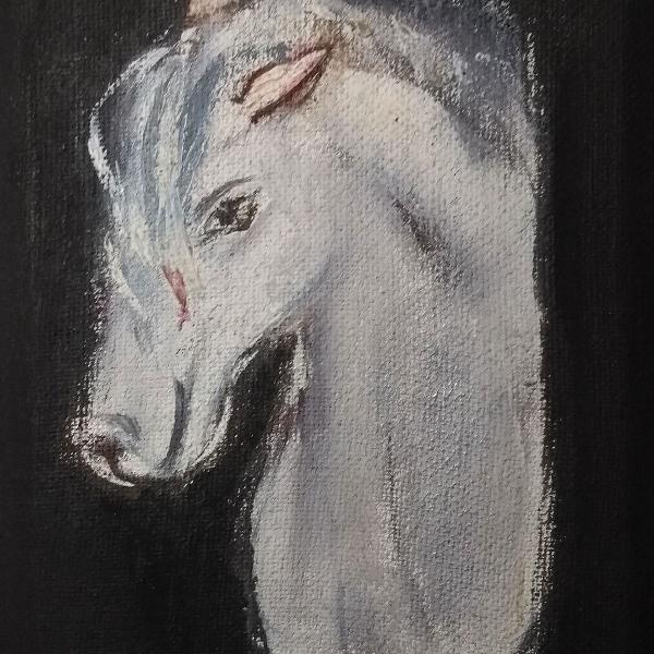 Quadrinho: Cabeça de Cavalo Branco