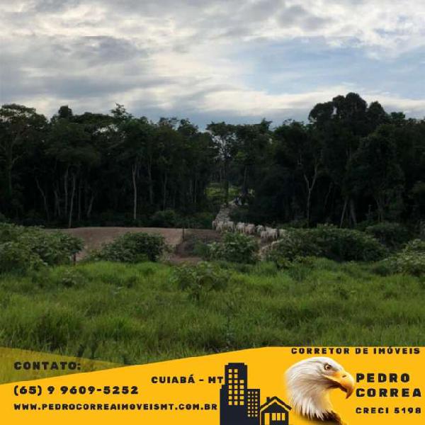 Vendo Fazenda em Cáceres - MT - Região Vila Aparecida - 7