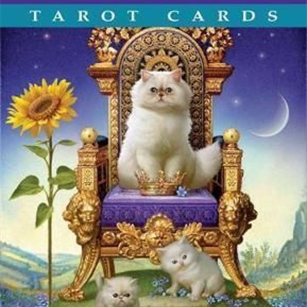 animal tarot cards (drop shipping)