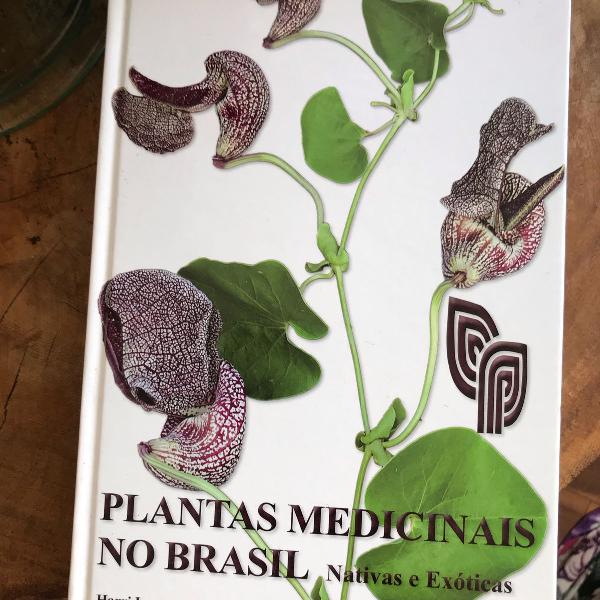 plantas medicinais no brasil