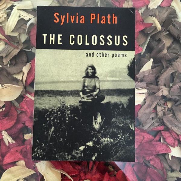 the colossus - sylvia plath