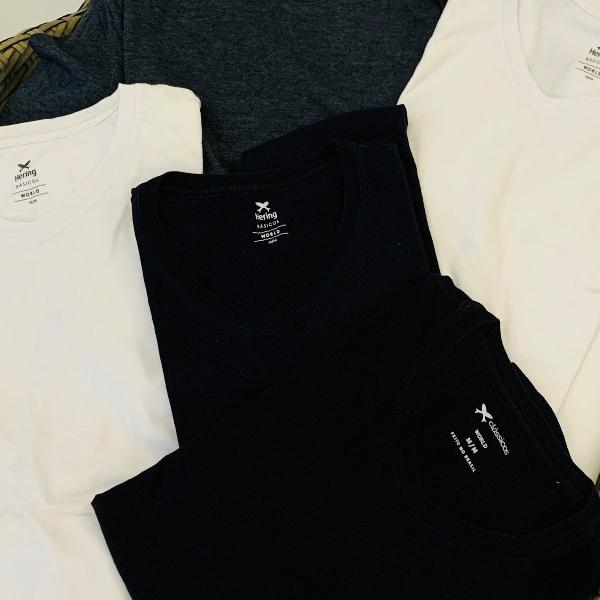 Kit com 5 camisetas Hering básicas: branca, cinza e preta.