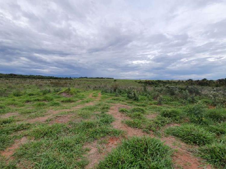 Fazenda com dupla aptidão.