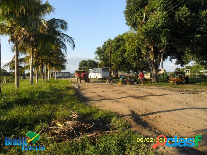 Fazenda em Santo André (Bahia) REF 313
