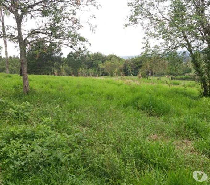 Chácara 10.000 m² - Campo da Brazina - Ararica - RS