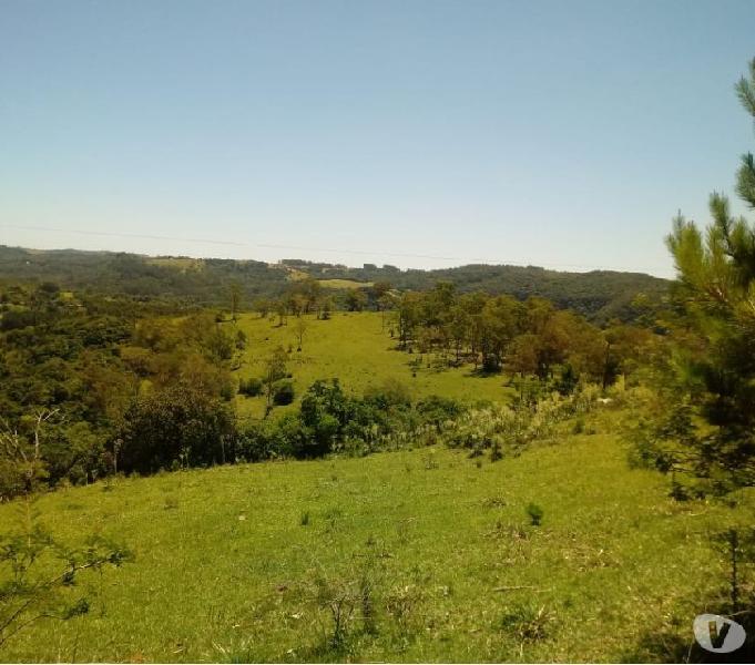 Sítio 20,0 Hectares - Santa Cruz - Gravataí - RS