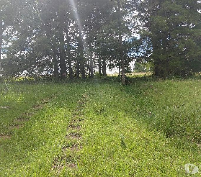 Sítio 35,0 Hectares - Santa Cruz - Gravataí - RS