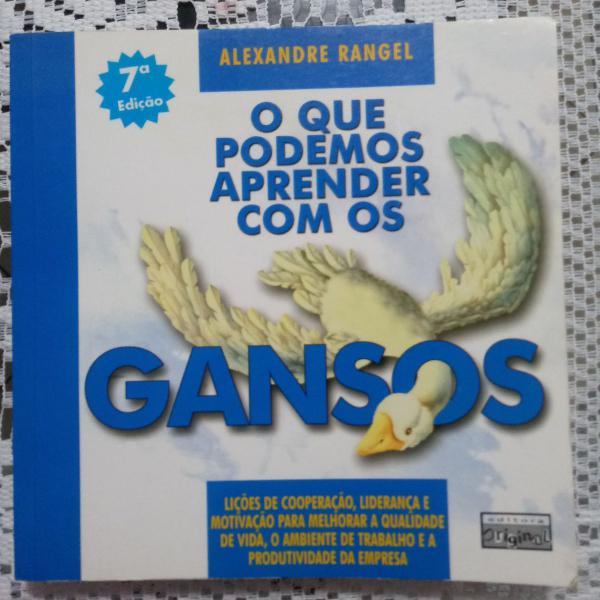 livro "o que podemos aprender com os gansos"