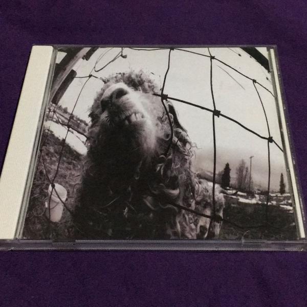 pearl jam - vs.