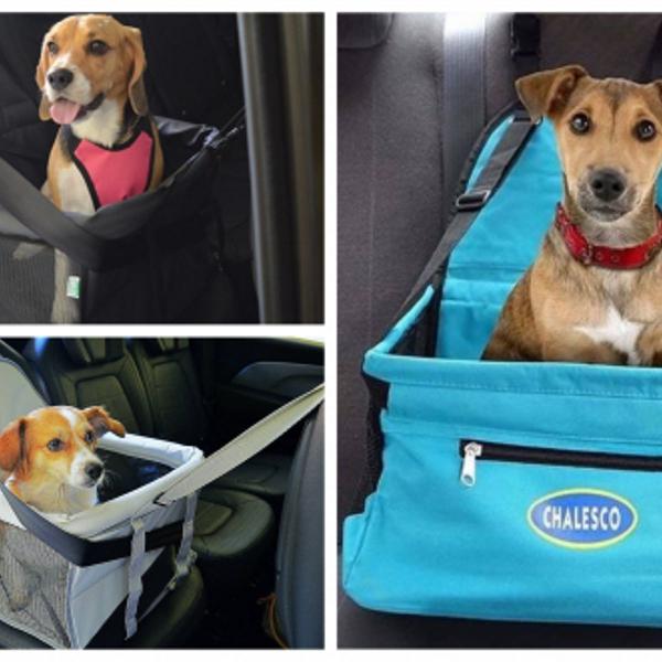 assento para pet no carro