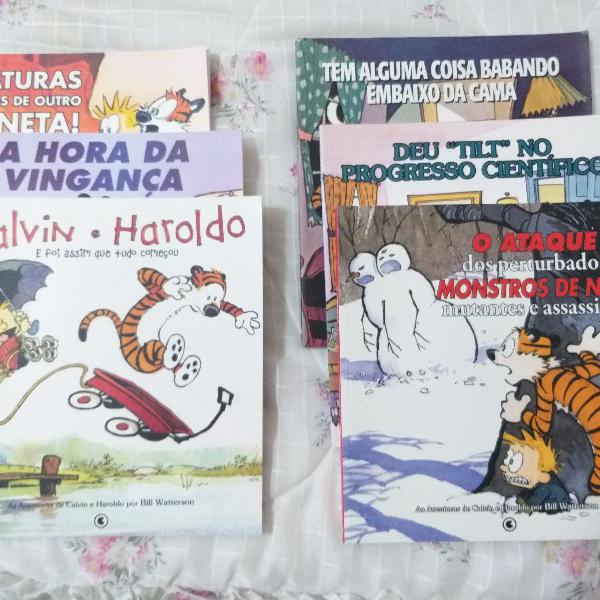6 livros da coleção Calvin e Haroldo