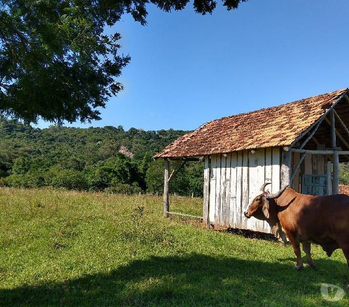 Chácara 5.000 m² - Lomba Grande - Novo Hamburgo - RS