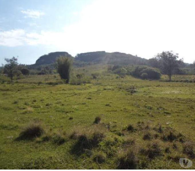 Sítio 11,0 Hectares - Pedra Branca - Glorinha - RS