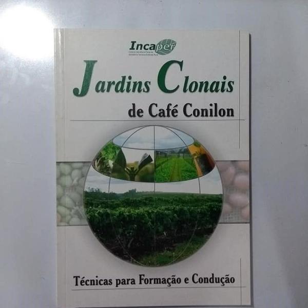 jardins clonais de café conilon