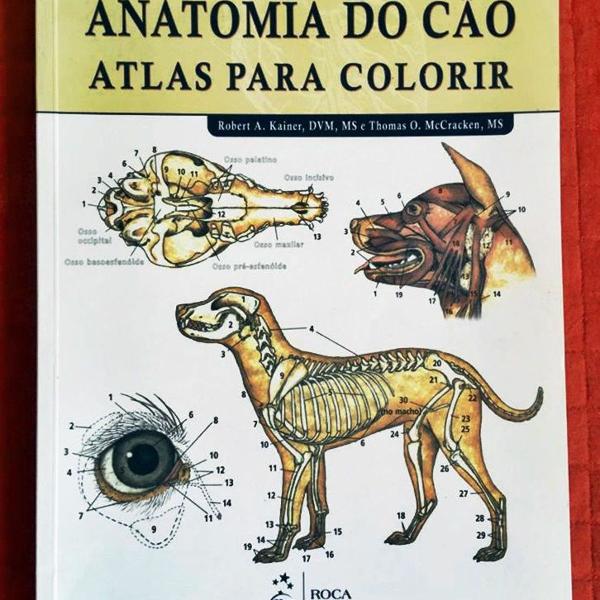 livro atlas para colorir da anatomia do cão para medicina
