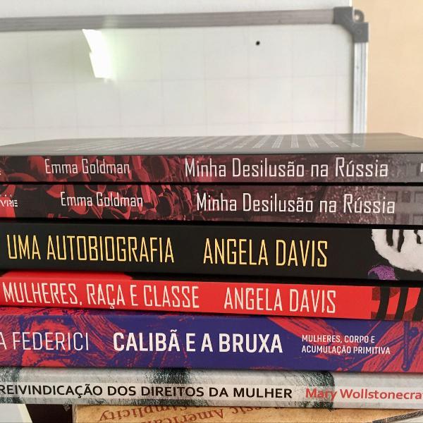 6 livros feminismo