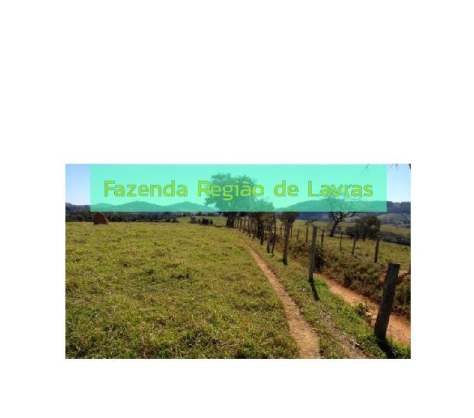 Fazenda 300 Hectares região de Lavras em Minas Gerais Pasto