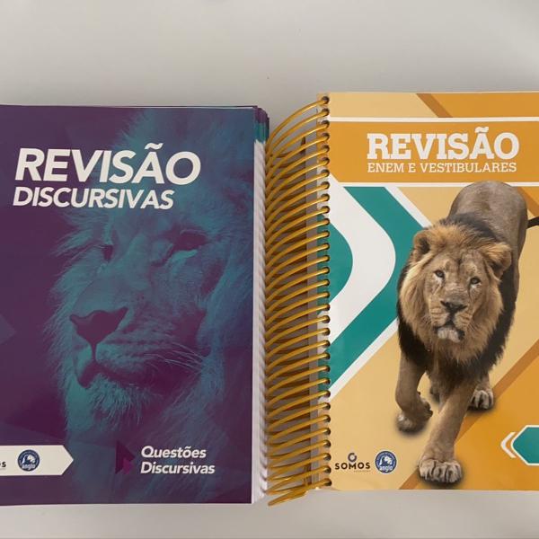 apostilas de revisão anglo 2019