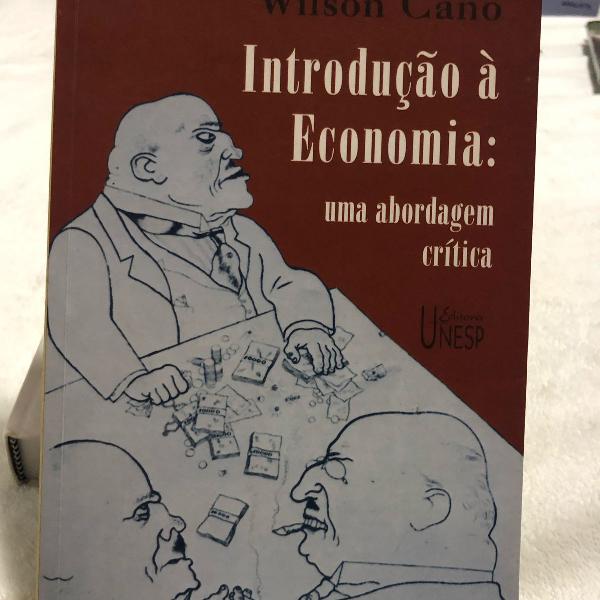 livro introdução à economia: uma abordagem crítica.