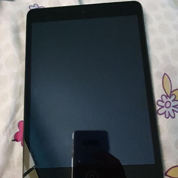 Ipad Mini 01