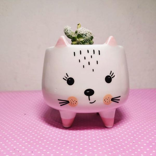 cachepot gatinho fofo