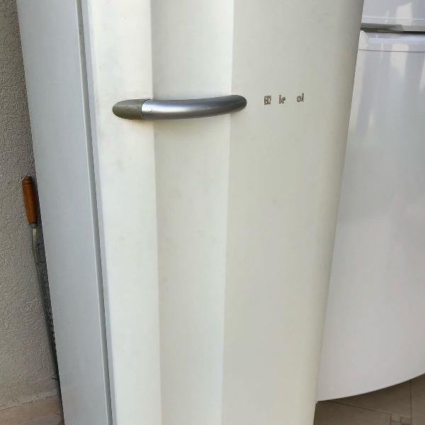 geladeira electrolux 220v