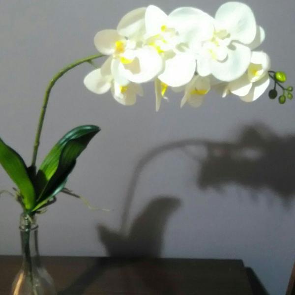 orquídea artificial branca